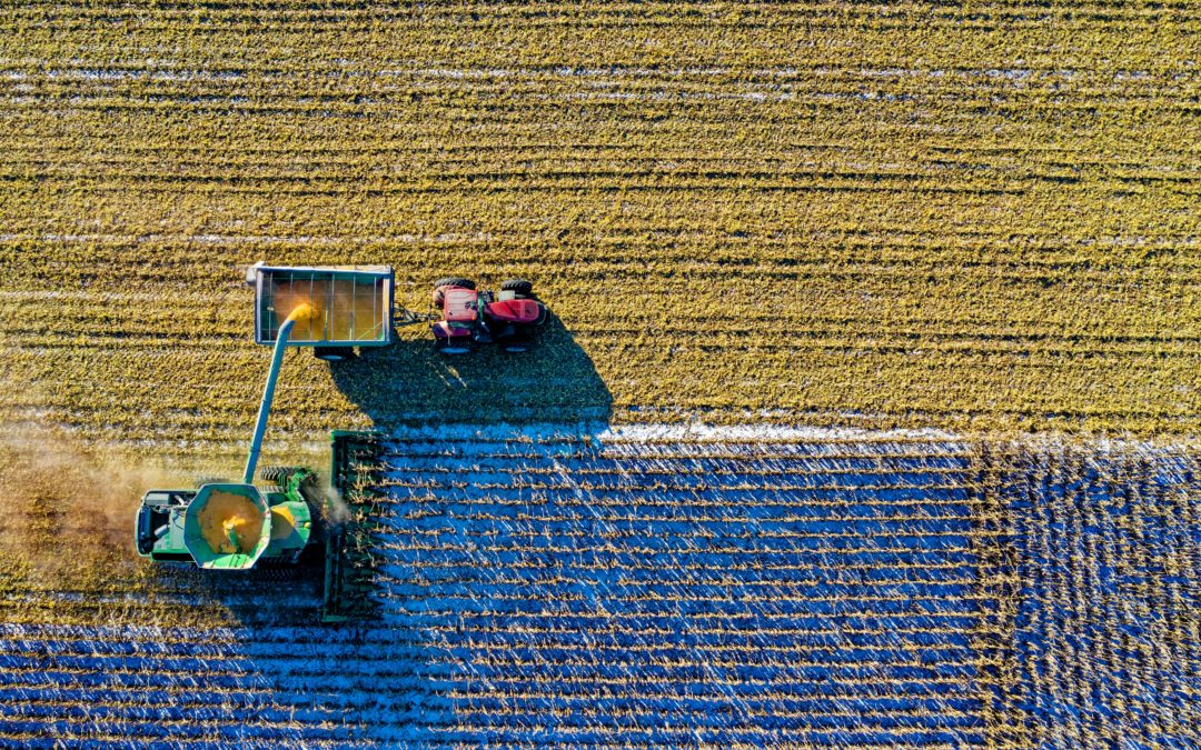 agricultura extensiva frente a energía fotovoltaica